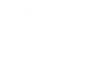 Yeti-Logo_transparent