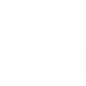 DAMPFLION_LOGO_White_transparent