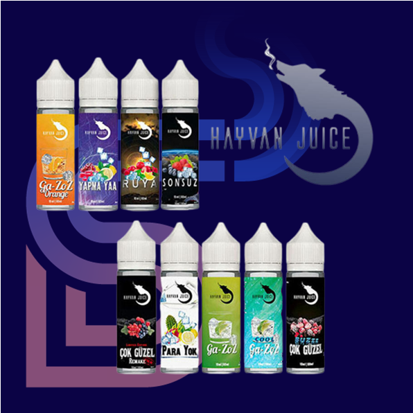 HAYVAN JUICE_STEAM DREAM