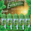 Evergreen Flavours_Gallerie