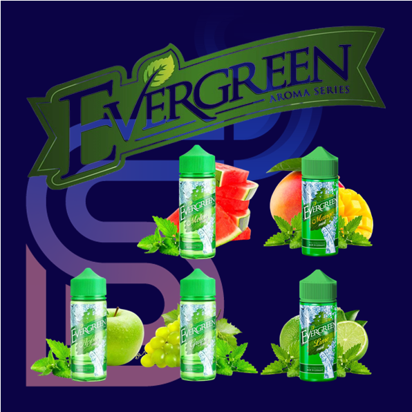 EVERGREEN MINTY CLASSICS_STEAM DREAM