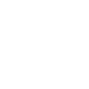 SIX LICKS_Logo