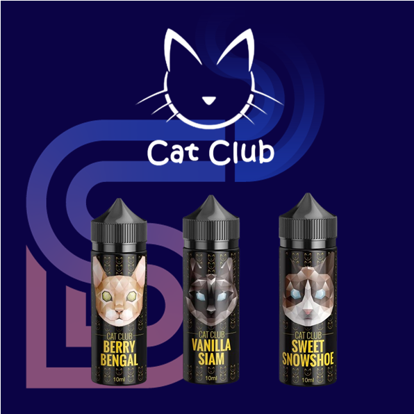 STEAM DREAM_CAT CLUB